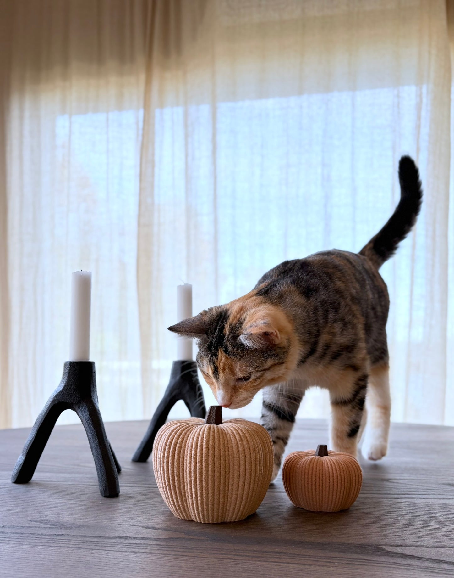 Gresskar dekor – sett med to